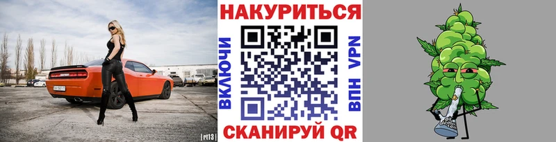 МЕФ Чистополь