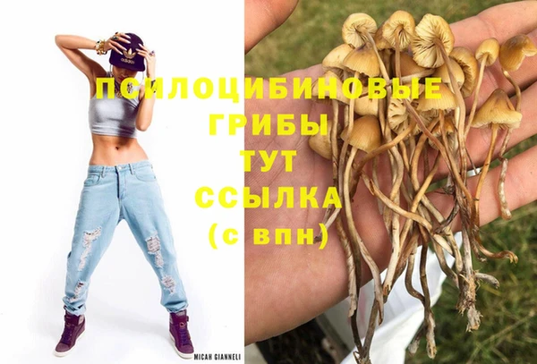 MDMA Армянск