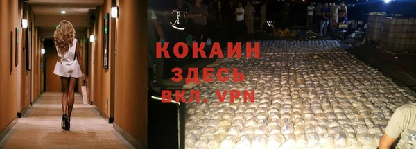 крисы Аркадак
