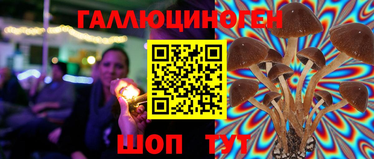Галлюциногенные грибы мицелий Чистополь